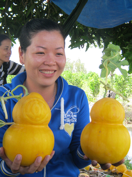 phong thủy và cây cảnh, cây cảnh và phong thủy, cây phong thủy, cây cảnh phong thủy, phong thuy va cay canh, cay canh va phong thuy, cay phong thuy, cay canh phong thuy